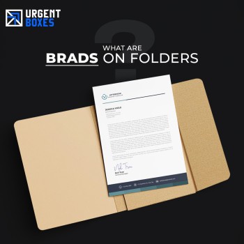 What Are Brads on Folders? (The Simple Guide)
