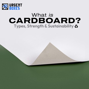 What Is Cardboard? A Complete Guide to Materials & Types