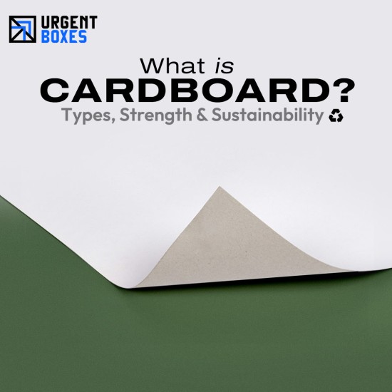 What Is Cardboard? A Complete Guide to Materials & Types