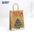 Kraft Paper Bags for Christmas