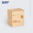 Kraft Boxes Wholesale