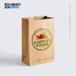 Eco Friendly Grocery Paper Bags